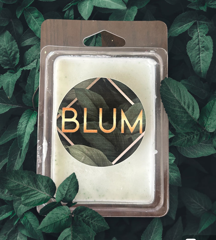 Menta y Eucalipto Aroma Wax Melts