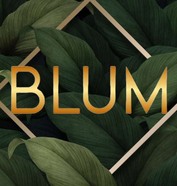Blum 